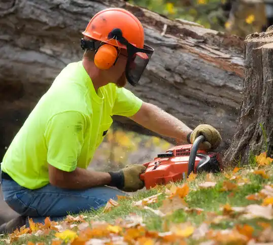 tree services Rose Hill